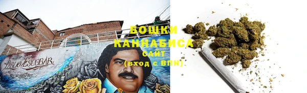 бошки Заводоуковск