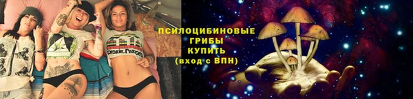 бошки Заводоуковск