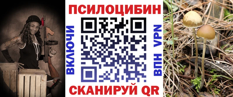 Галлюциногенные грибы GOLDEN TEACHER  Каменка 