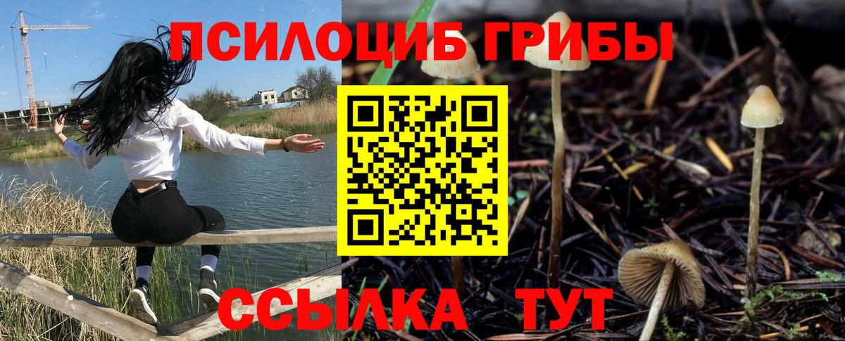 Галлюциногенные грибы мицелий  Вход с VPN  Каменка  Галлюциногенные грибы мицелий 