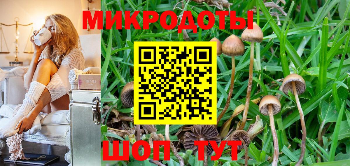 Галлюциногенные грибы ЛСД Каменка